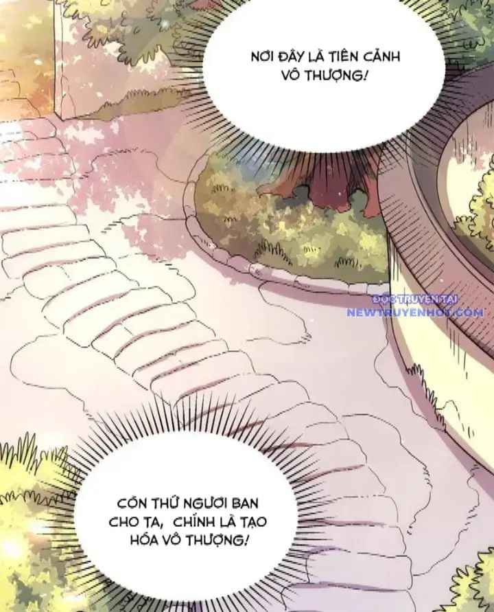 Nguyên Lai Ta Là Tu Tiên Đại Lão Chapter 531 - Trang 2