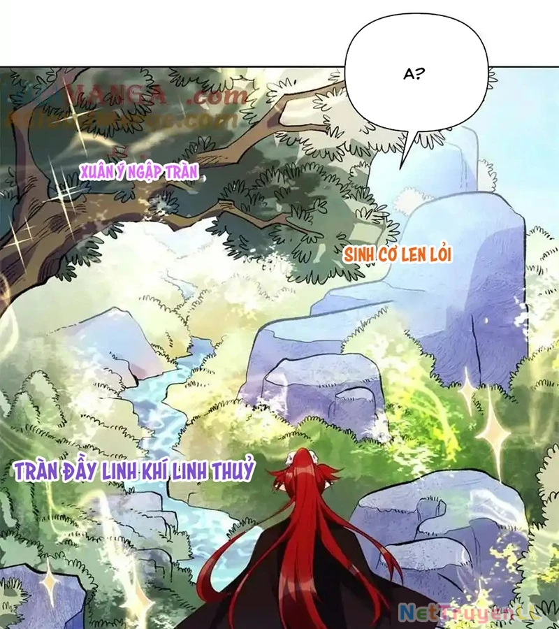 Nguyên Lai Ta Là Tu Tiên Đại Lão Chapter 435 - Trang 2