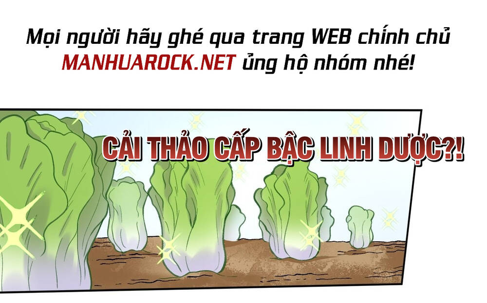 Nguyên Lai Ta Là Tu Tiên Đại Lão Chapter 126 - Trang 2