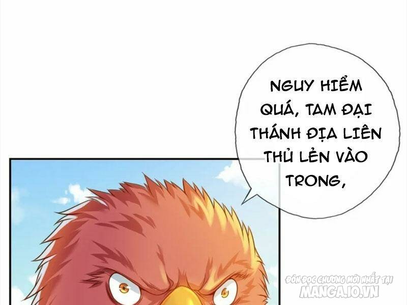 Ta Có Khả Năng Vô Hạn Đốn Ngộ Chapter 45 - Trang 2