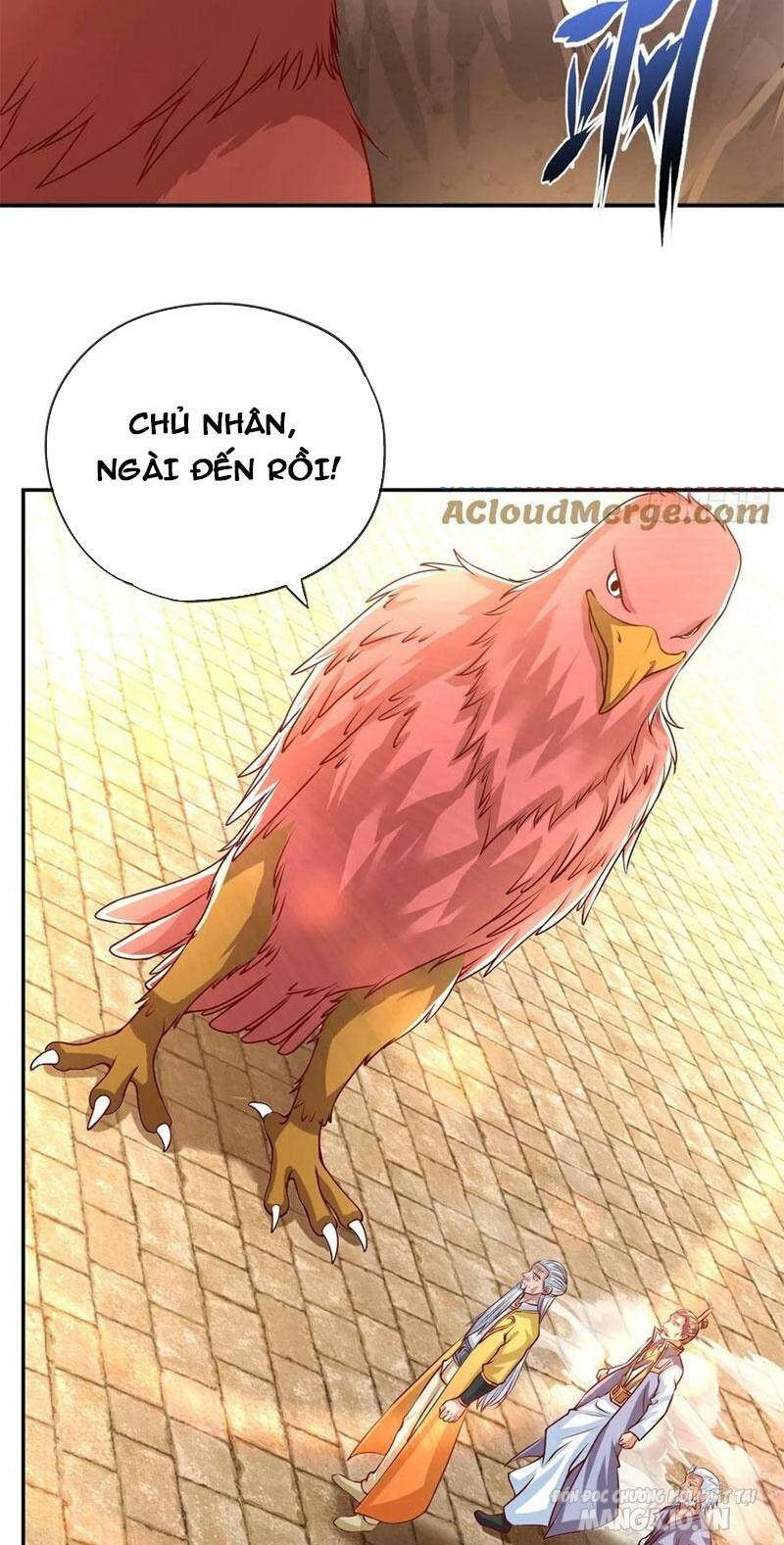 Ta Có Khả Năng Vô Hạn Đốn Ngộ Chapter 44 - Trang 2