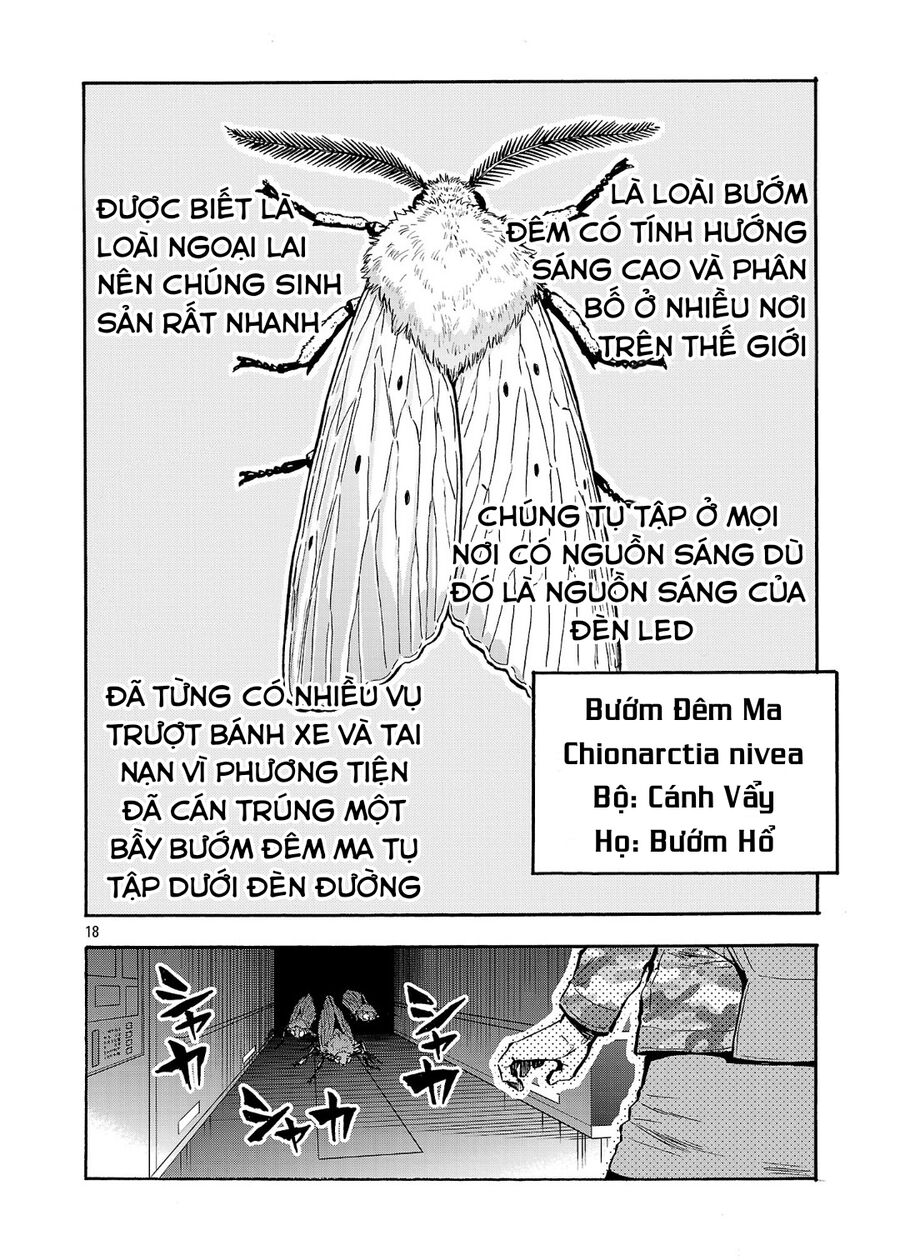 Siêu Đảo Côn Trùng Chapter 49.5 - Trang 2