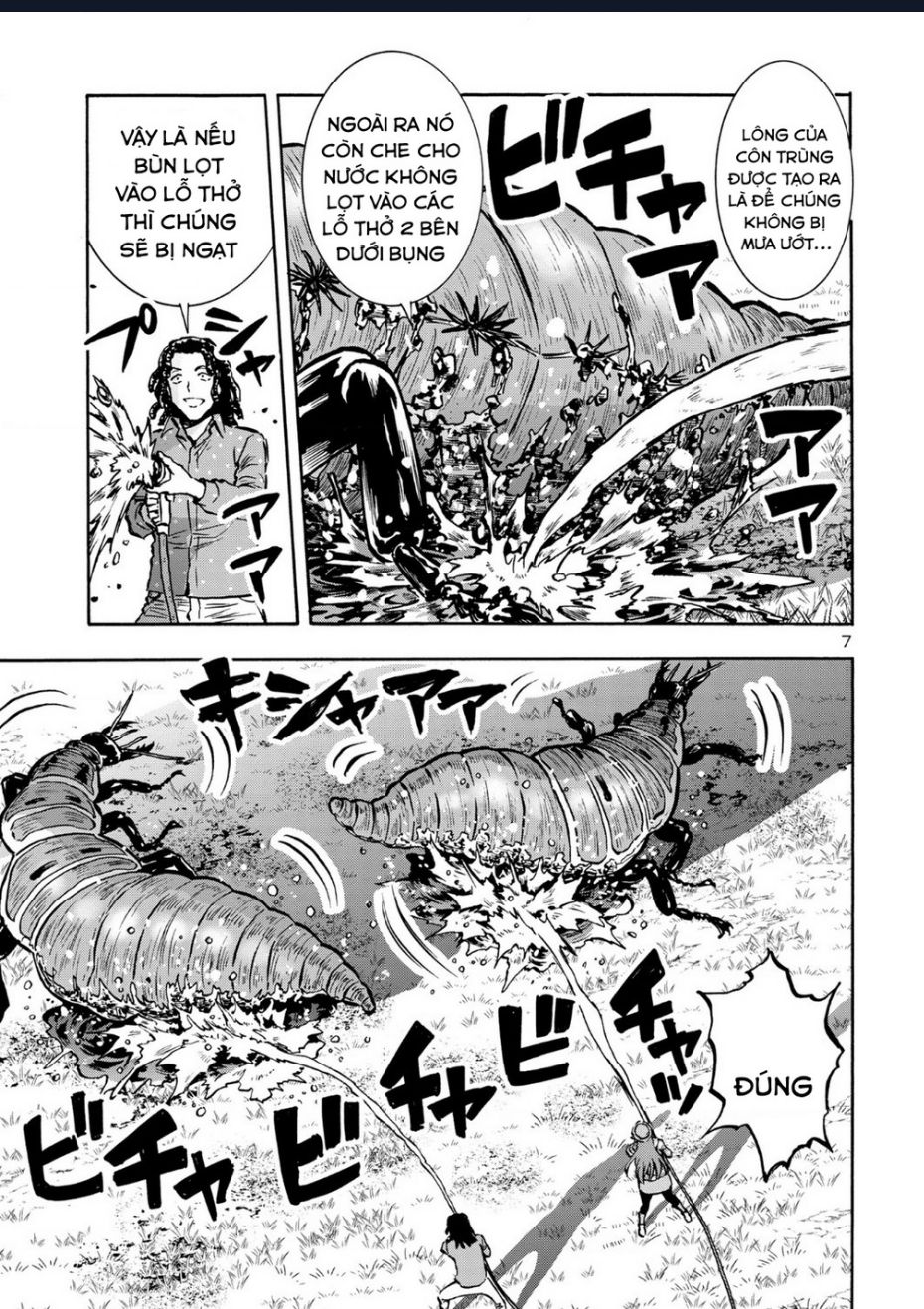 Siêu Đảo Côn Trùng Chapter 43 - Trang 2