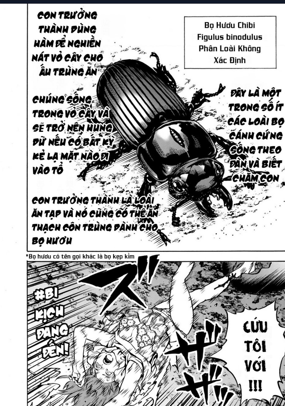 Siêu Đảo Côn Trùng Chapter 41 - Trang 2