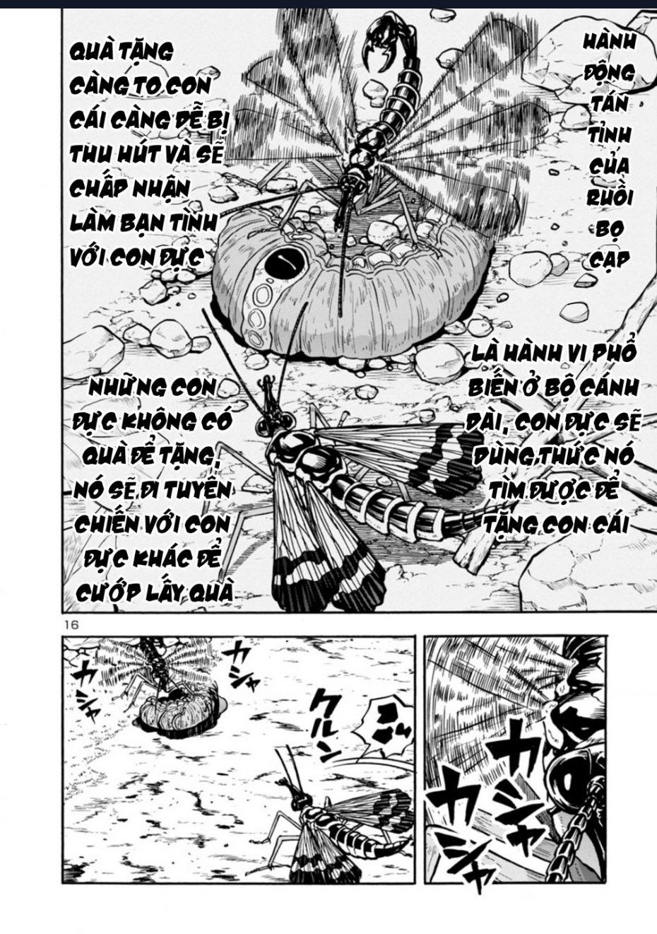 Siêu Đảo Côn Trùng Chapter 37 - Trang 2