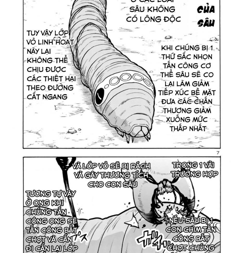 Siêu Đảo Côn Trùng Chapter 35.5 - Trang 2