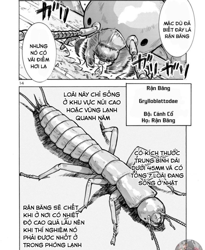 Siêu Đảo Côn Trùng Chapter 32.5 - Trang 2