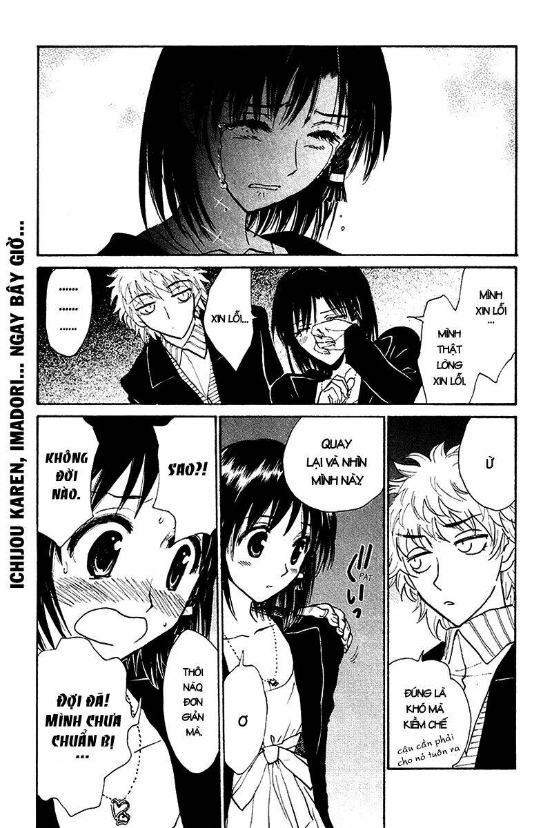 School Rumble Chapter 231 - Trang 2