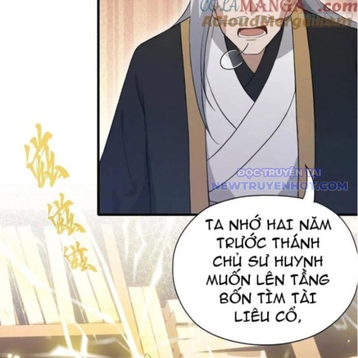 Hoá Ra Ta Đã Vô Địch Từ Lâu Chapter 246 - Trang 2