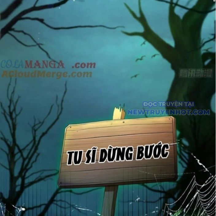 Hoá Ra Ta Đã Vô Địch Từ Lâu Chapter 246 - Trang 2