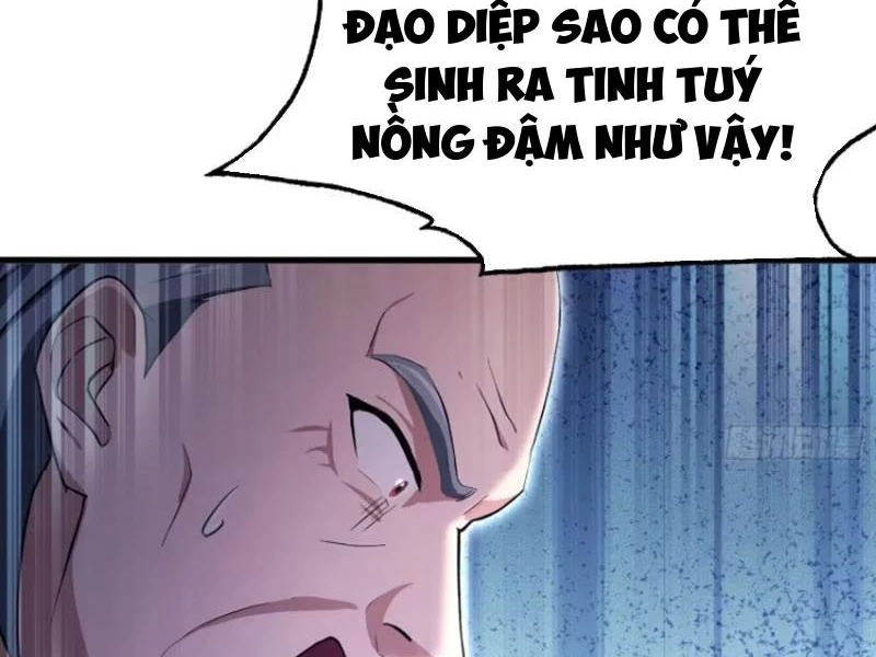 Hoá Ra Ta Đã Vô Địch Từ Lâu Chapter 205 - Trang 2