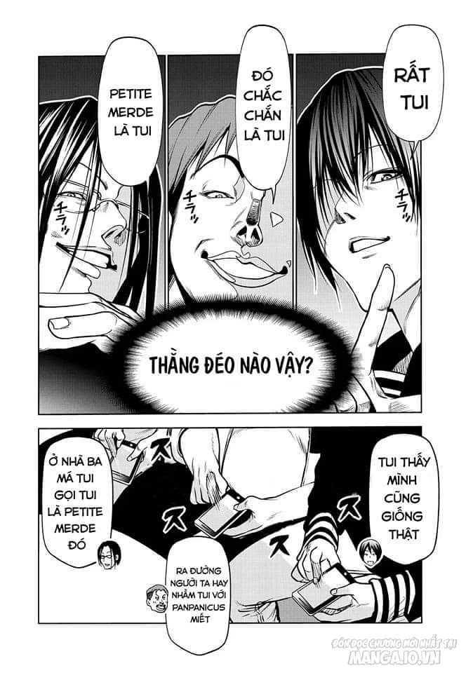 Grand Blue Chapter 87.3 - Trang 2