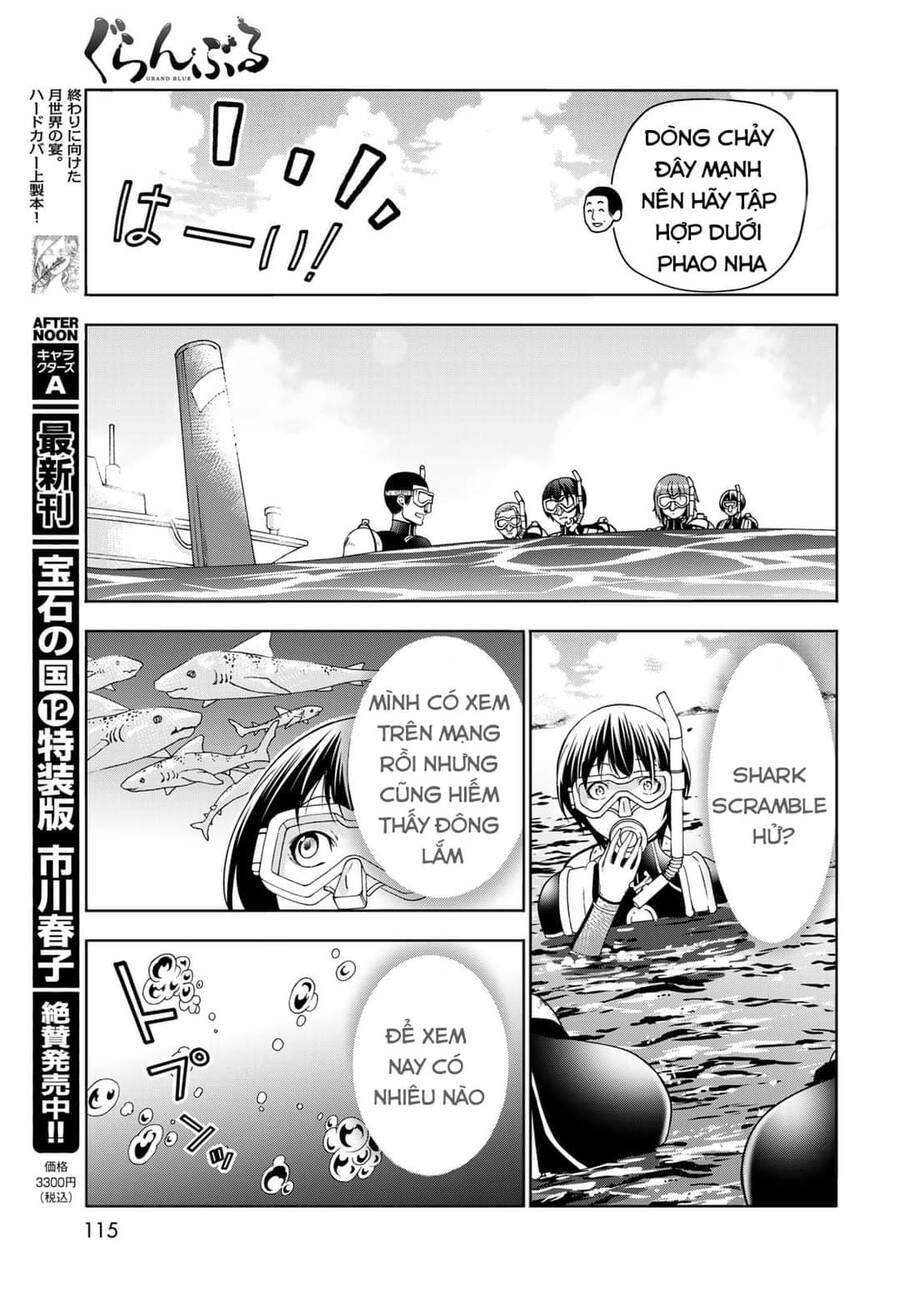 Grand Blue Chapter 81 - Trang 2