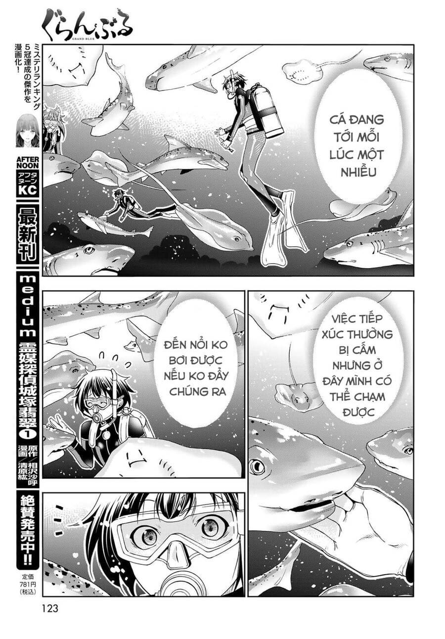 Grand Blue Chapter 81 - Trang 2