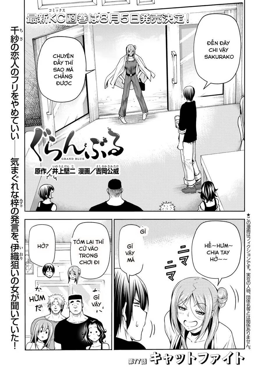 Grand Blue Chapter 77 - Trang 2