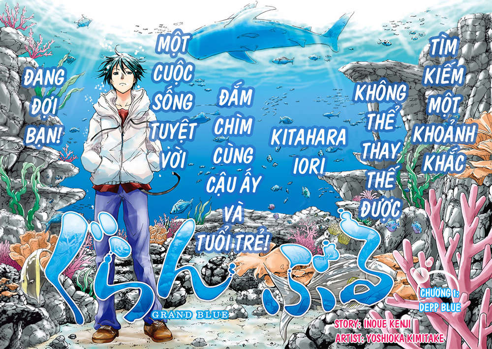 Grand Blue Chapter 2 - Trang 2