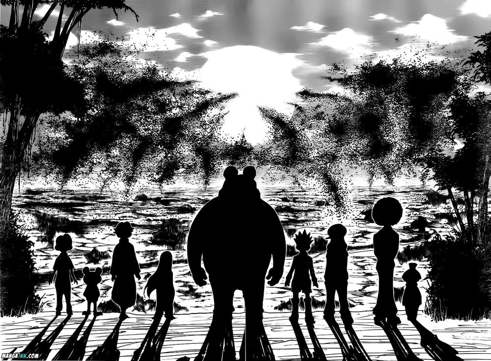 Hunter X Hunter Chapter 339 - Trang 2