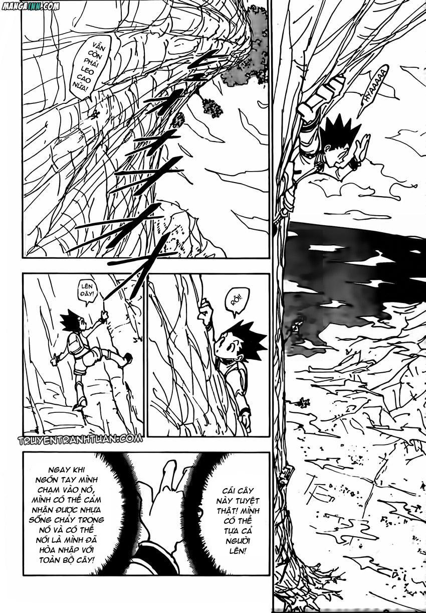 Hunter X Hunter Chapter 338 - Trang 2