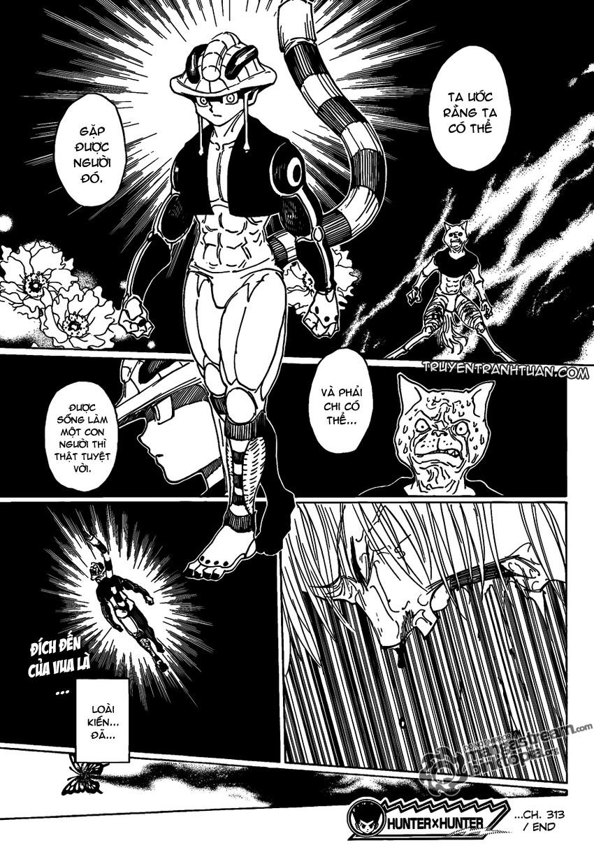 Hunter X Hunter Chapter 313 - Trang 2