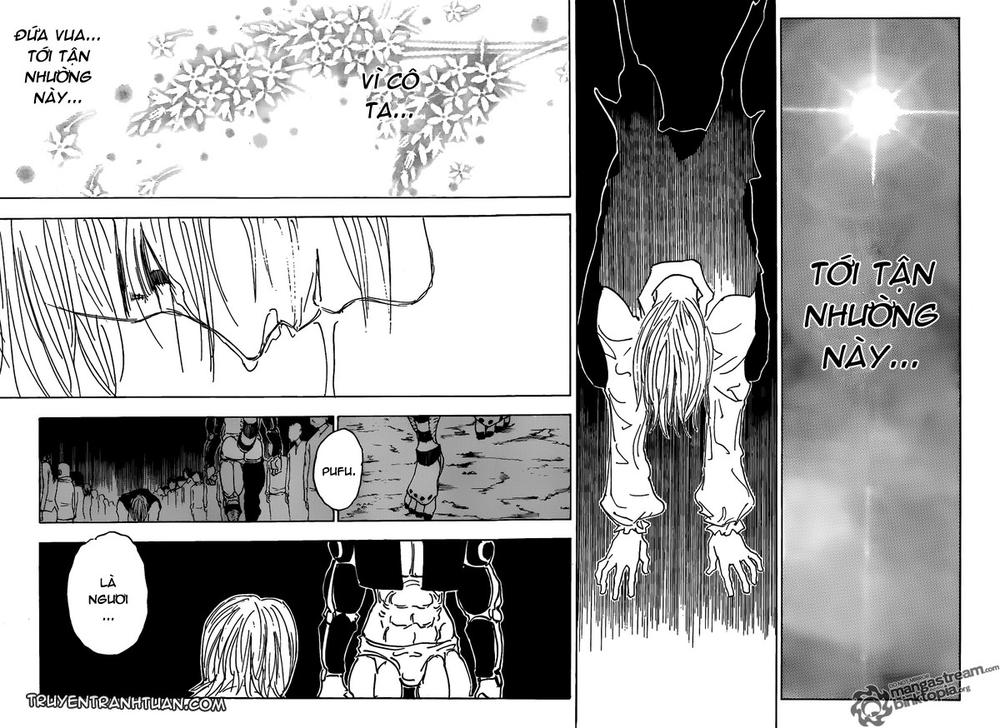 Hunter X Hunter Chapter 313 - Trang 2