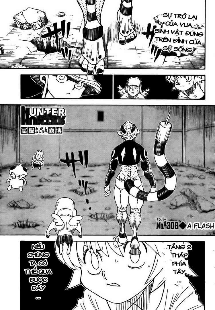 Hunter X Hunter Chapter 308 - Trang 2