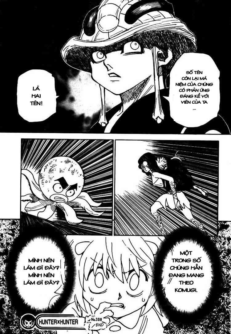 Hunter X Hunter Chapter 308 - Trang 2