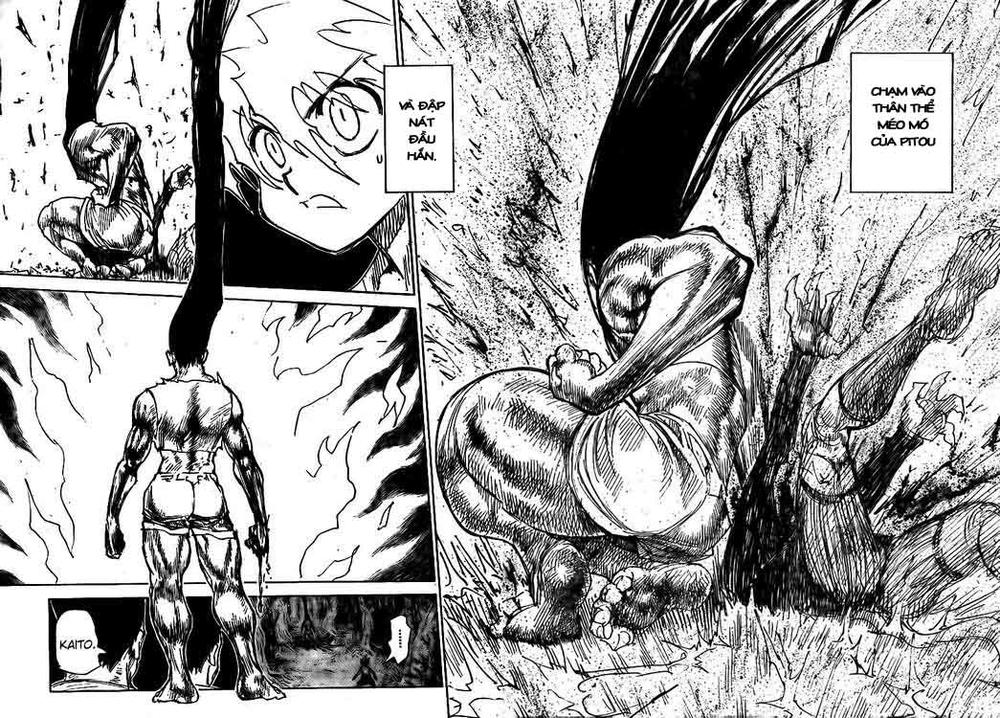 Hunter X Hunter Chapter 307 - Trang 2