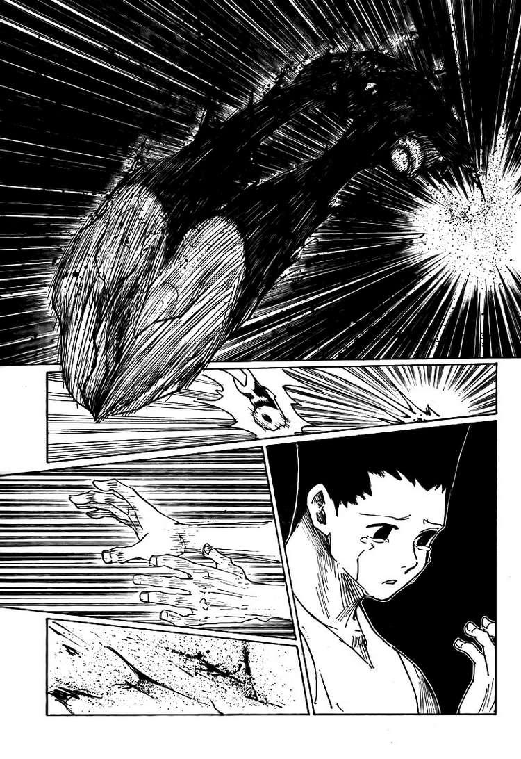 Hunter X Hunter Chapter 307 - Trang 2