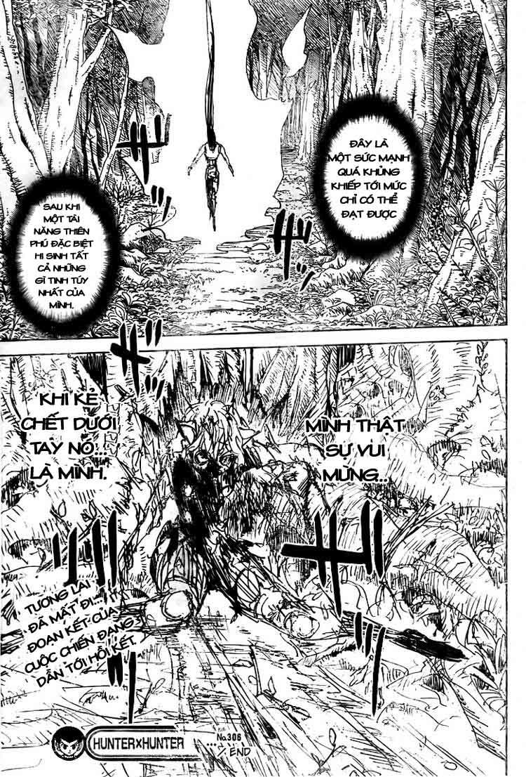 Hunter X Hunter Chapter 306 - Trang 2