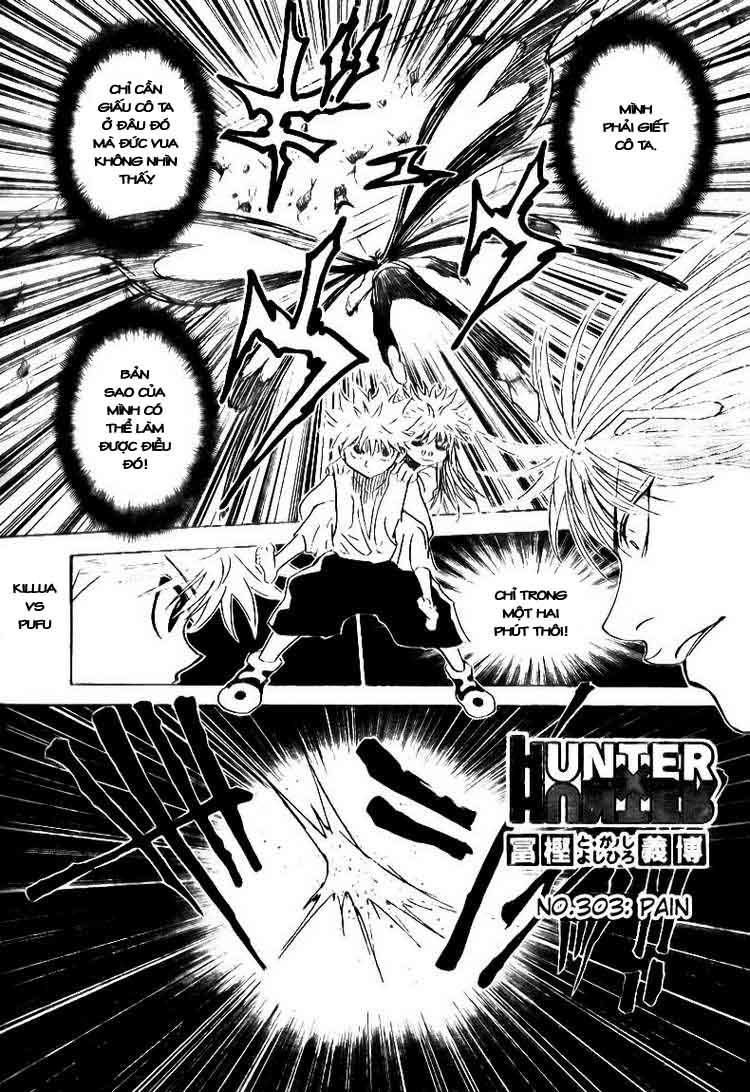 Hunter X Hunter Chapter 303 - Trang 2