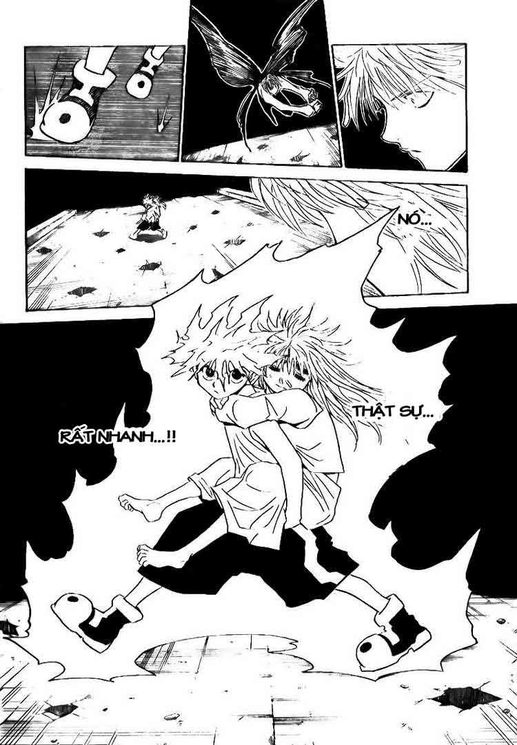 Hunter X Hunter Chapter 303 - Trang 2