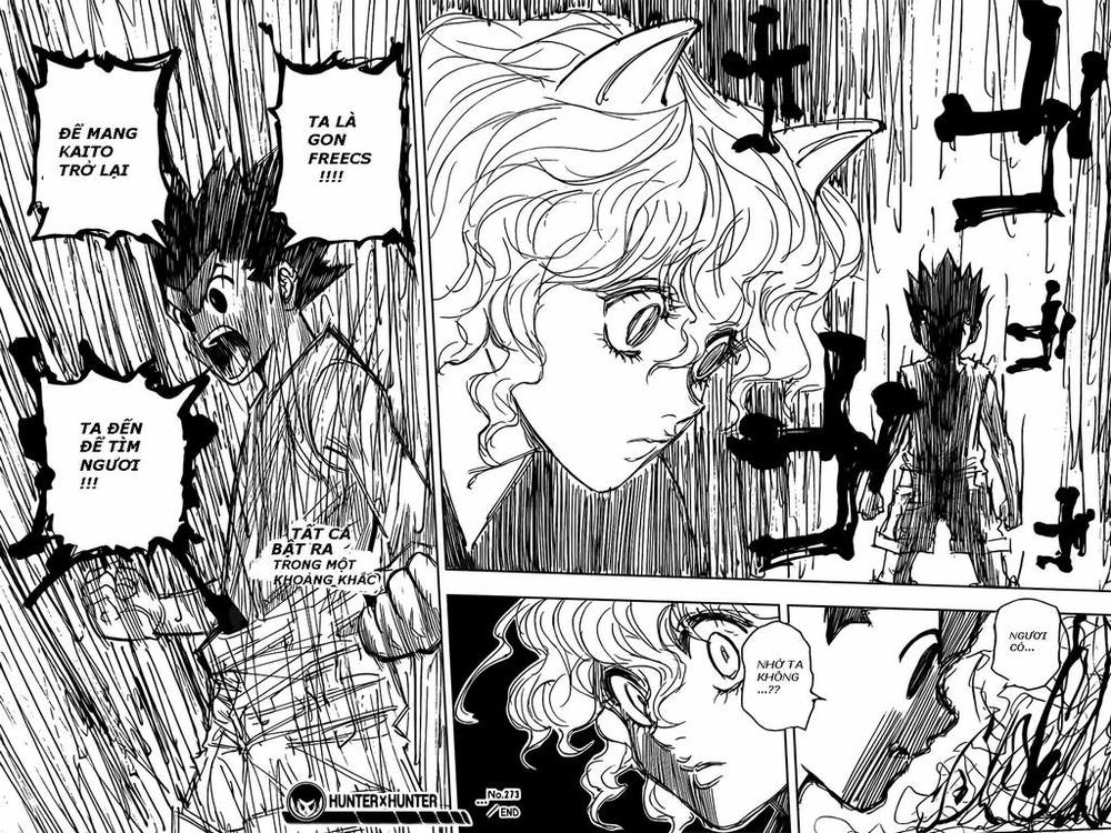 Hunter X Hunter Chapter 273 - Trang 2