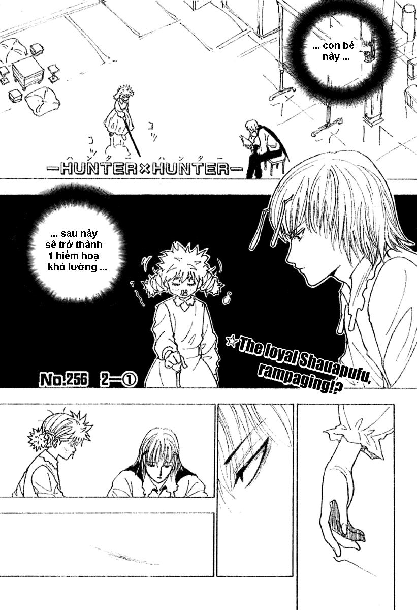 Hunter X Hunter Chapter 256 - Trang 2