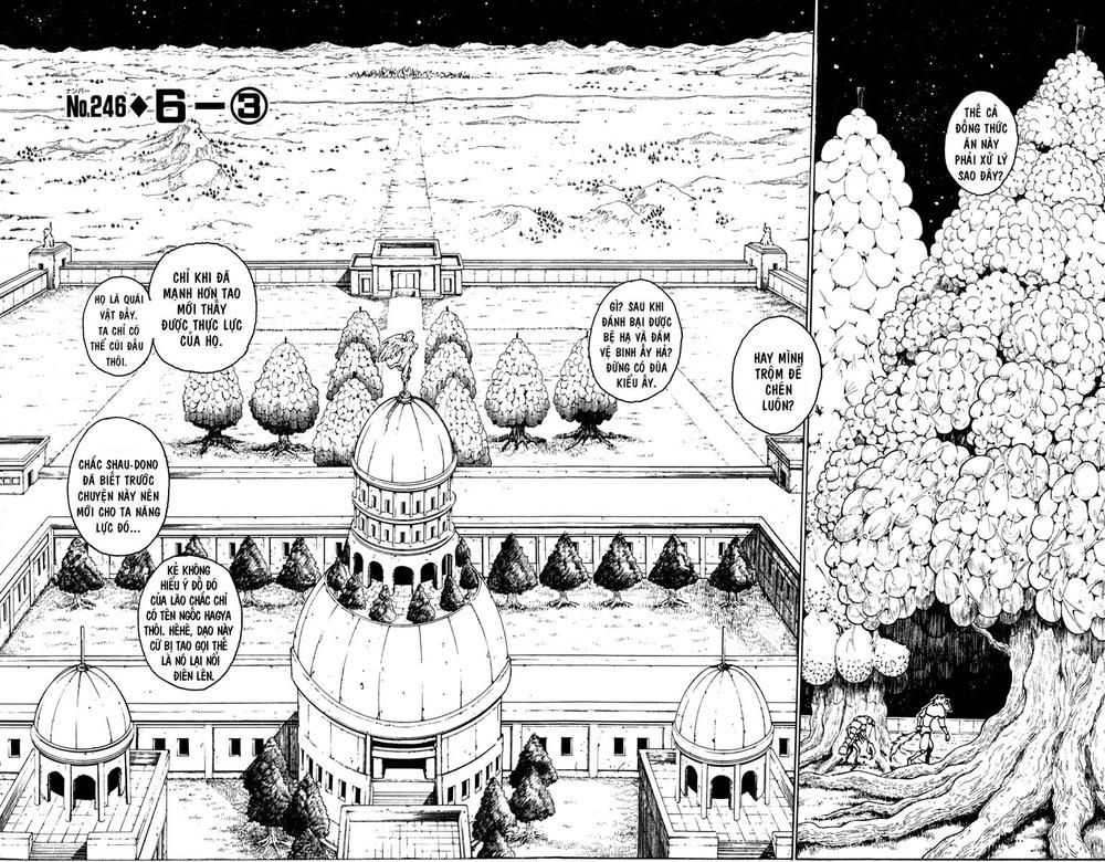 Hunter X Hunter Chapter 246 - Trang 2