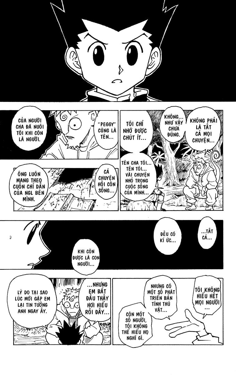 Hunter X Hunter Chapter 242 - Trang 2