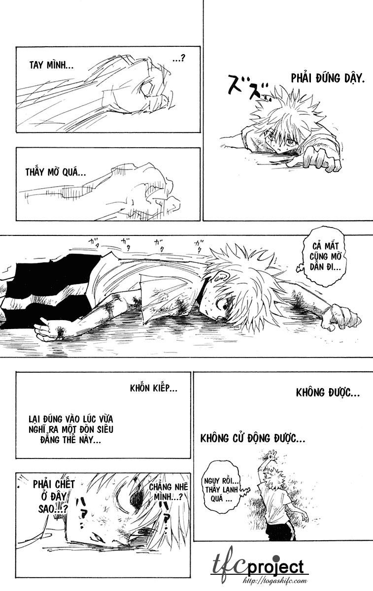 Hunter X Hunter Chapter 241 - Trang 2