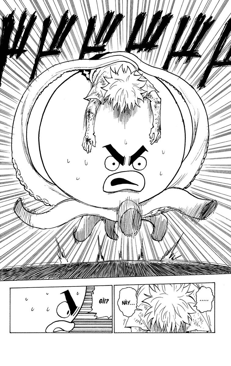 Hunter X Hunter Chapter 241 - Trang 2