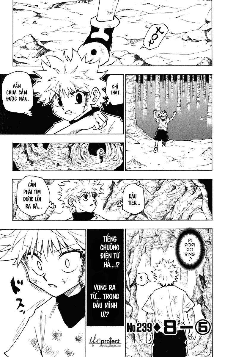 Hunter X Hunter Chapter 239 - Trang 2