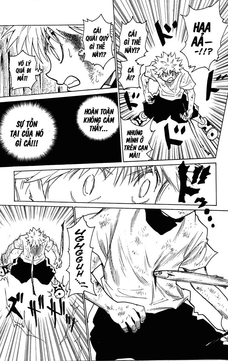 Hunter X Hunter Chapter 239 - Trang 2