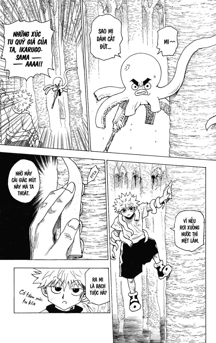 Hunter X Hunter Chapter 238 - Trang 2