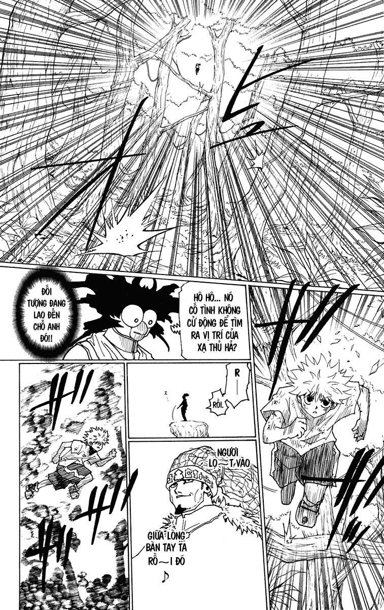 Hunter X Hunter Chapter 237 - Trang 2