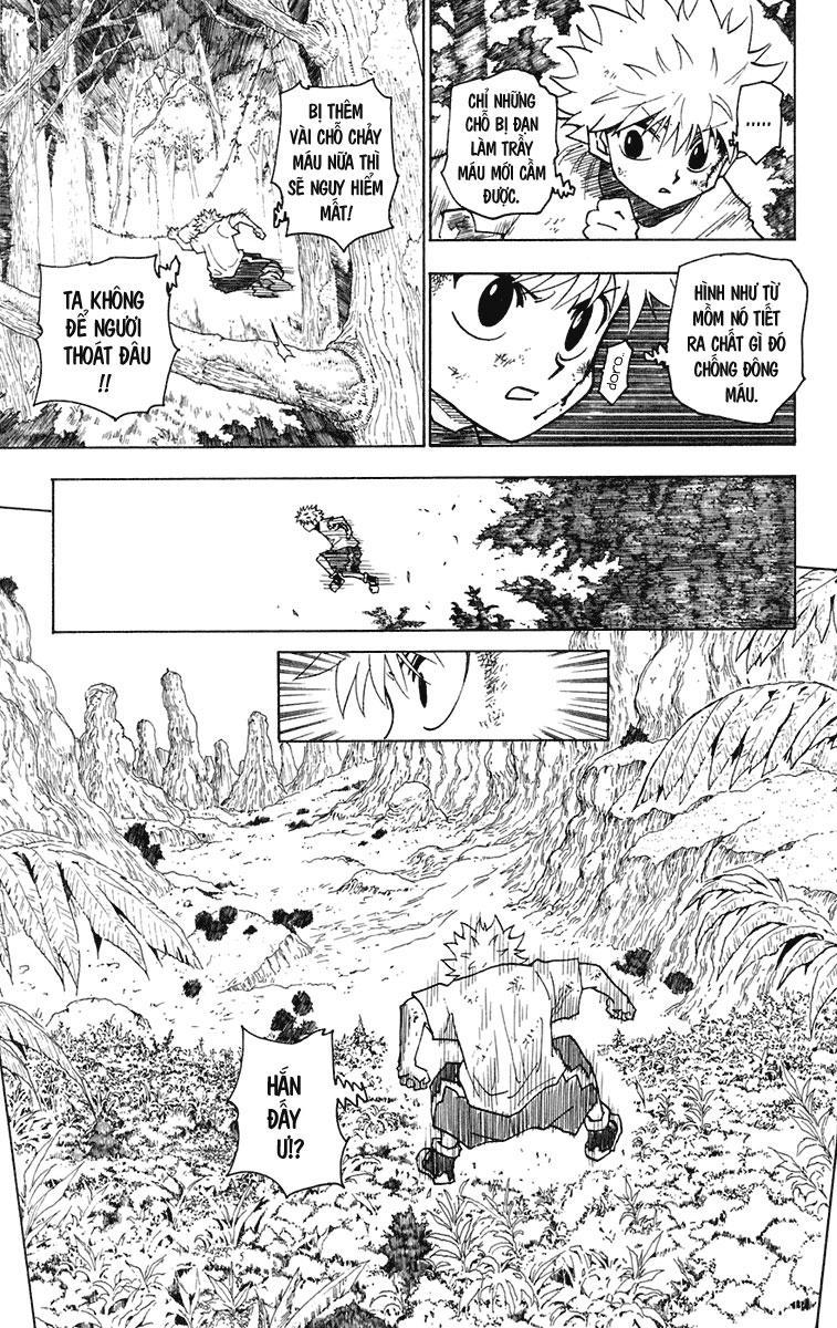 Hunter X Hunter Chapter 237 - Trang 2