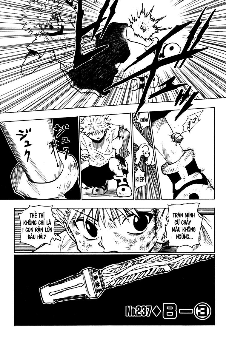 Hunter X Hunter Chapter 237 - Trang 2