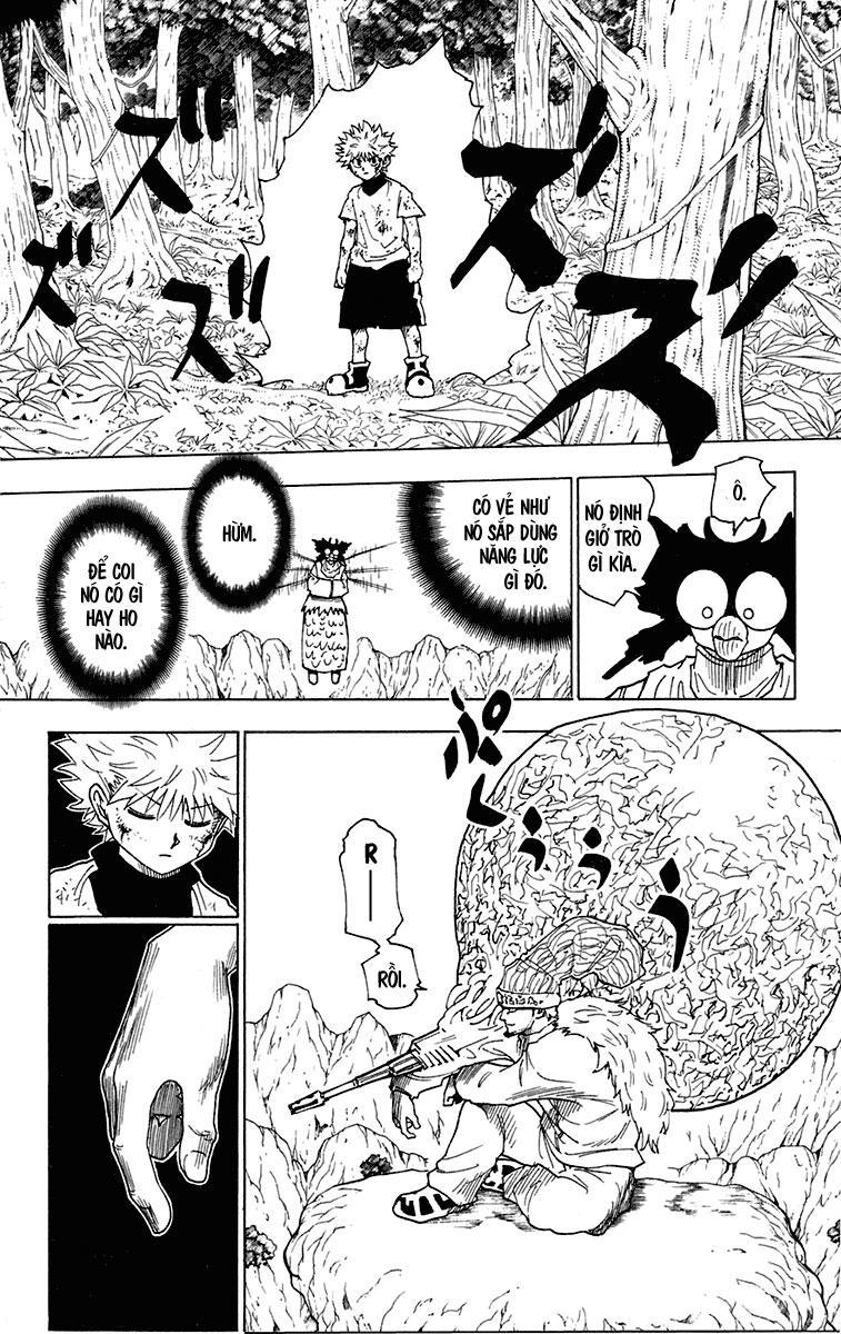 Hunter X Hunter Chapter 237 - Trang 2