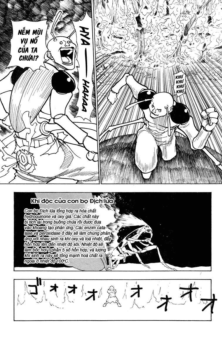 Hunter X Hunter Chapter 236 - Trang 2