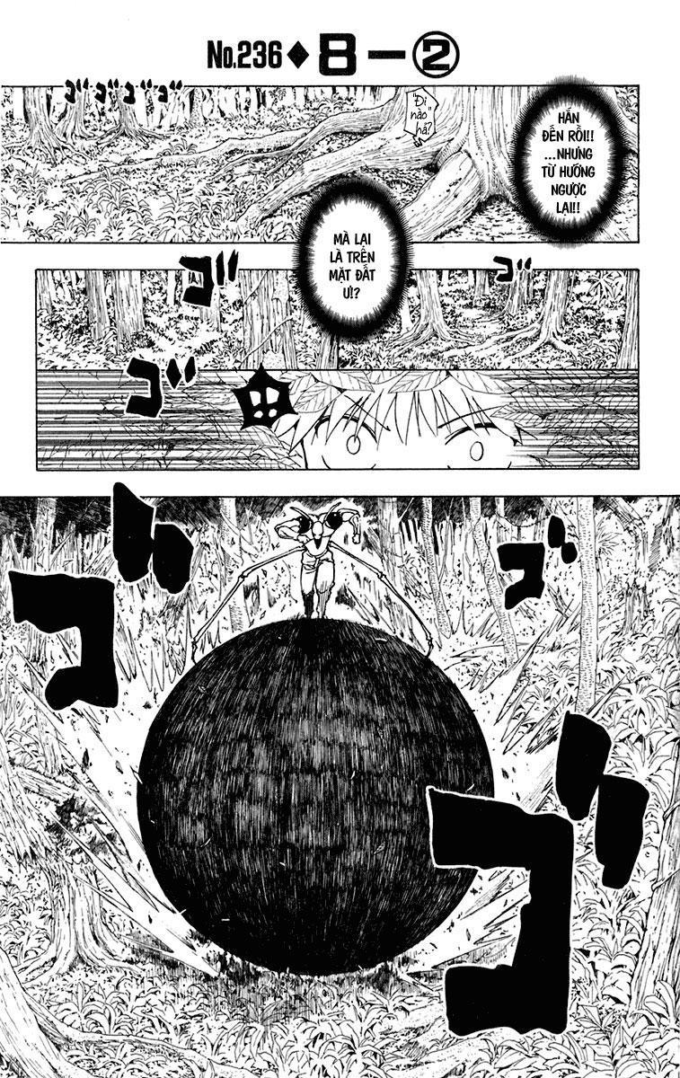 Hunter X Hunter Chapter 236 - Trang 2