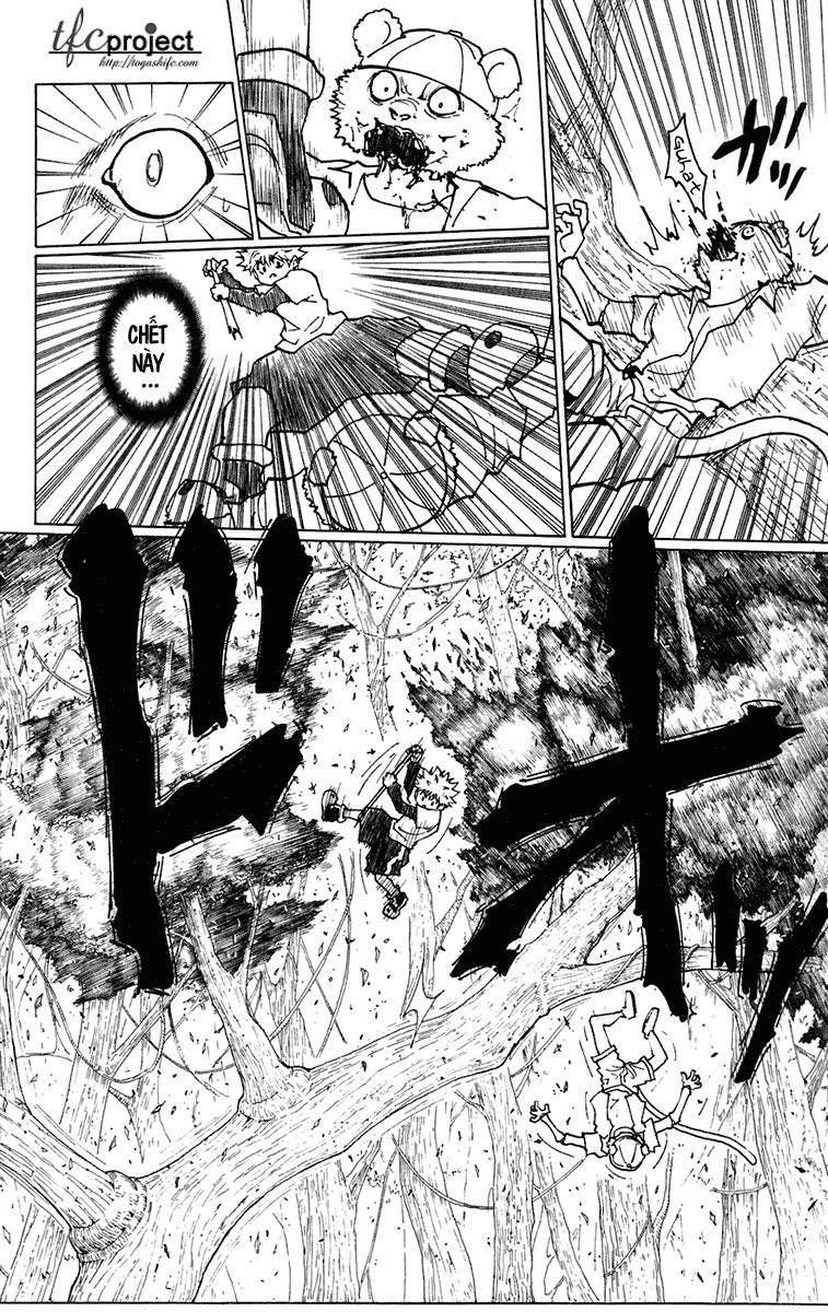 Hunter X Hunter Chapter 236 - Trang 2