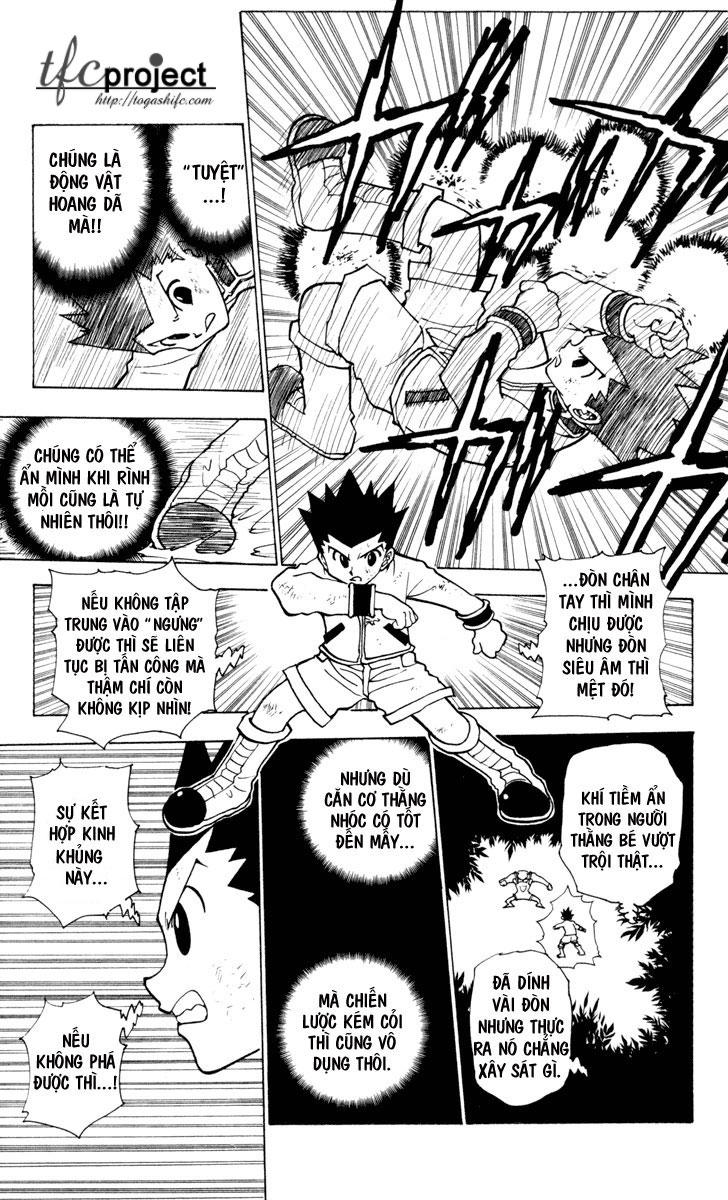 Hunter X Hunter Chapter 233 - Trang 2