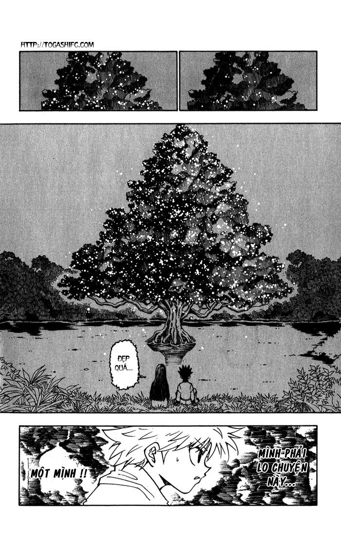 Hunter X Hunter Chapter 218 - Trang 2