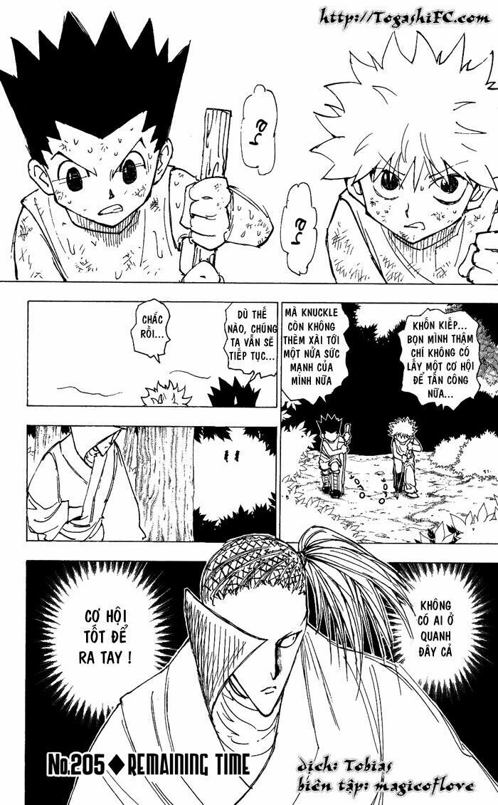 Hunter X Hunter Chapter 205 - Trang 2